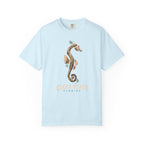 Seahorse - Found Resemblance