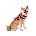 Blood orange tiger stripe pet bandana for cats and dogs, featuring bold tiger stripe pattern and vibrant orange color.